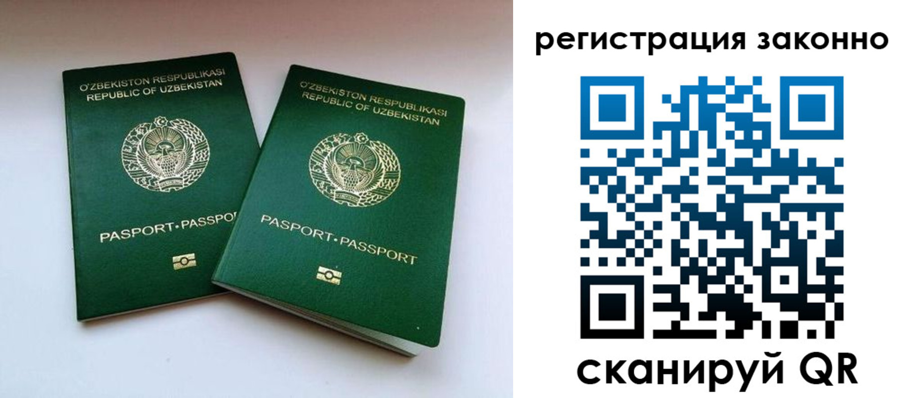 прописка гарантия в Киришах
